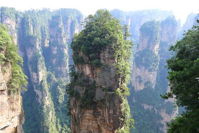 National Forest Park Avatar Mountain Day Tour - Yuanjiajie Avatar Mountain