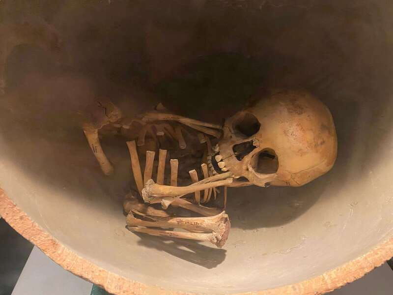 national-museum-of-anthropology-a-journey-into-mexicos-past-spanish-language