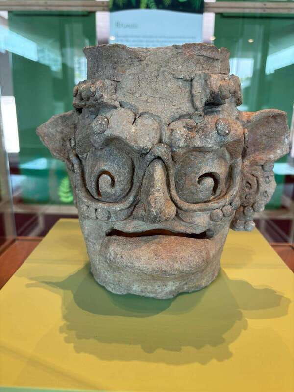 national-museum-of-anthropology-a-journey-into-mexicos-past-spanish-language