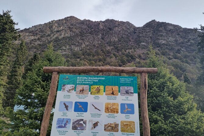 National park Ala-Archa & Chunkurchak ski base resort - Authentic Experiences and Highlights from Reviews