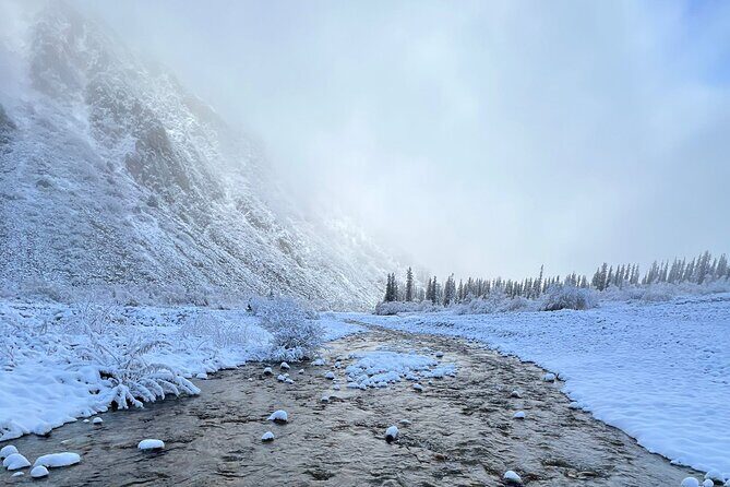 National park Ala-Archa & Chunkurchak ski base resort - The Sum Up