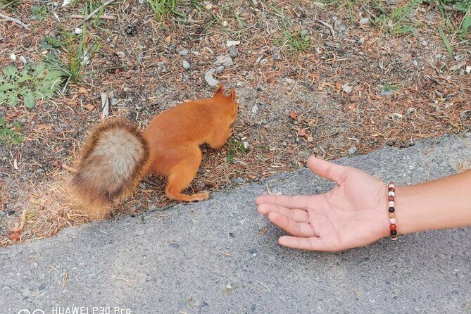 National park Ala-Archa & Chunkurchak ski base resort - FAQs