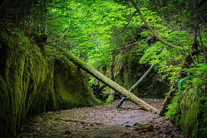 National Park Day Hike from Sapporo by Private Car - FAQs