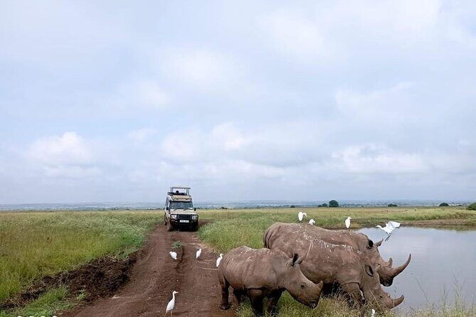National Park Half-Day Group Tour in Nairobi with Pickup - Key Points