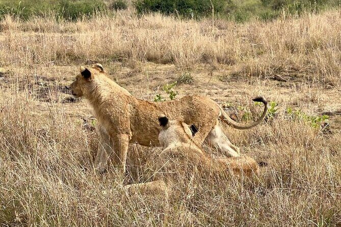 National Park Half-Day Group Tour in Nairobi with Pickup - Practical Details to Keep in Mind