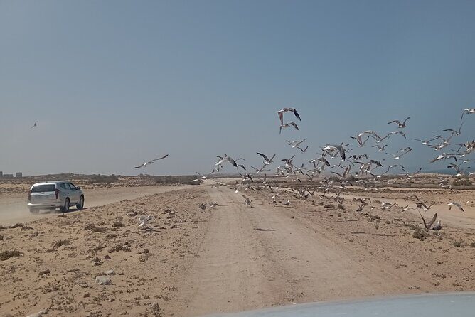 National Park & Sahara Day trip with Food - FAQ