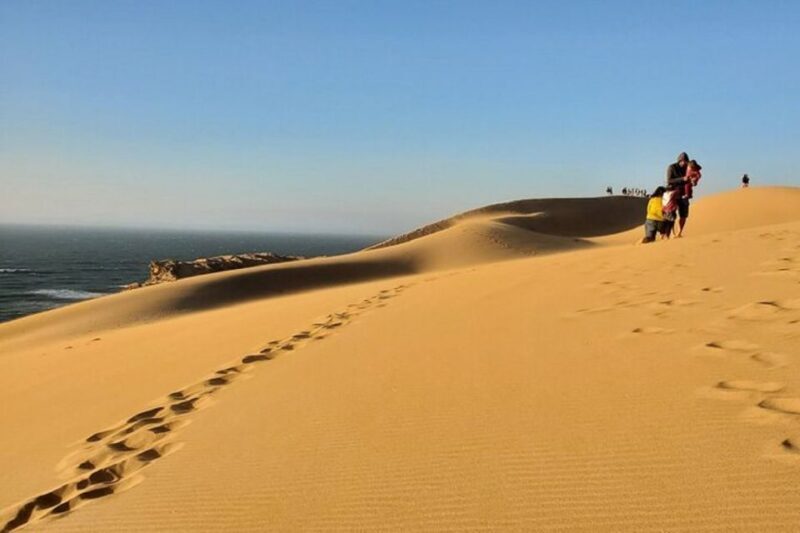 National park & Sahara Desert with Lunch and Camel Ride - Practical Details & Value