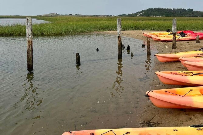national-seashore-tour-with-guided-hike