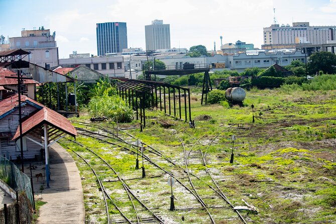 national-stadium-bob-marley-statue-devon-house-gardens-tour