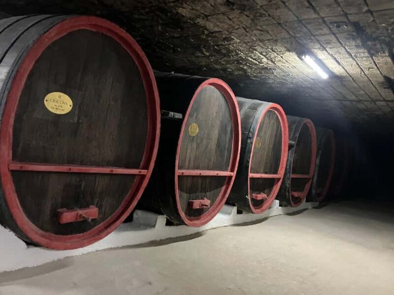 National Wine Day Celebrations In Moldova - A Complete Breakdown of the Experience