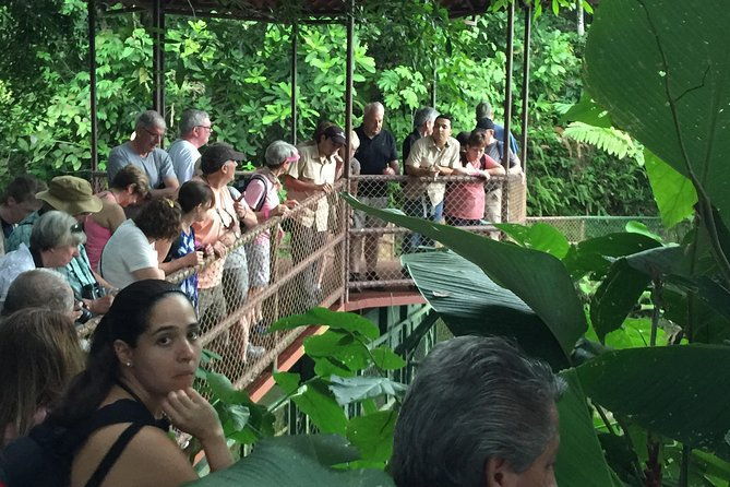 natura-eco-park-costa-rica-plus-admission-wildlife-sanctuary