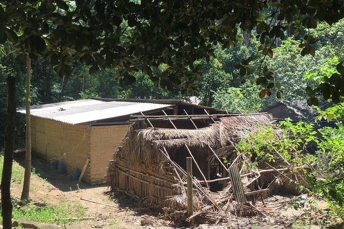 natural-day-in-an-indigenous-village