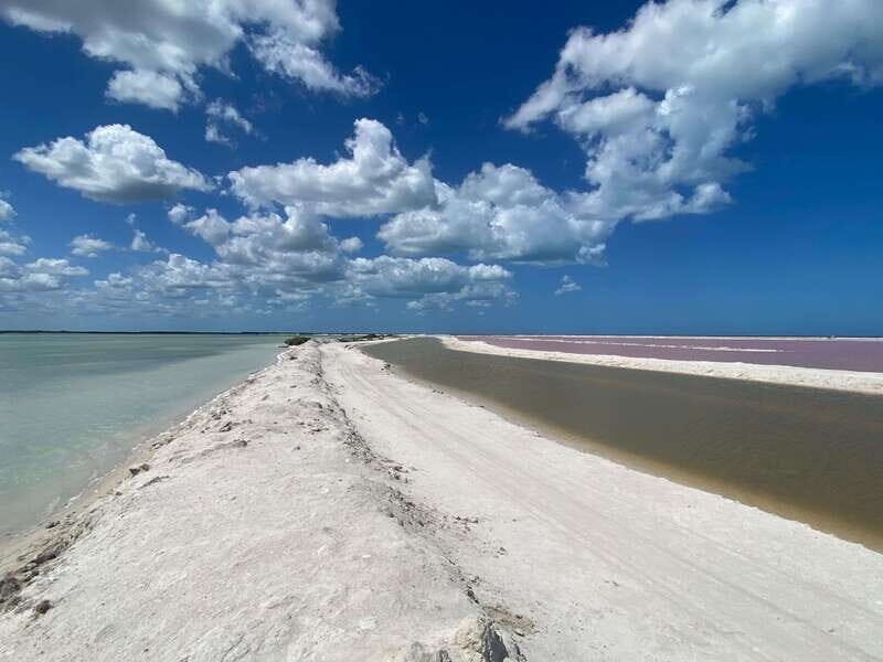 Natural Experience: Río Lagartos and Las Coloradas. - Key Points