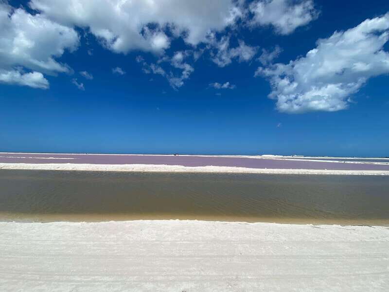 Natural Experience: Río Lagartos and Las Coloradas. - Exploring Río Lagartos and Las Coloradas: What You Can Expect