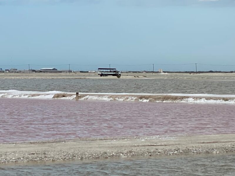 Natural Experience: Río Lagartos and Las Coloradas. - FAQ