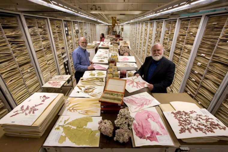 natural-history-museum-american-history-museum