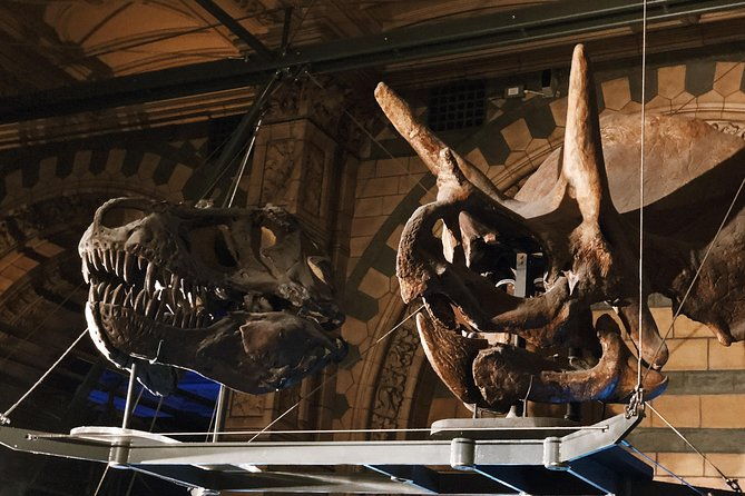 natural-history-museum-london-exclusive-guided-museum-tour