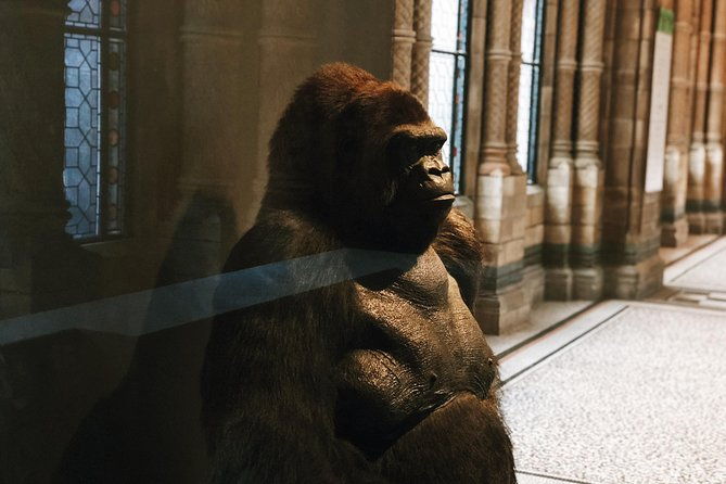 natural-history-museum-london-exclusive-guided-museum-tour