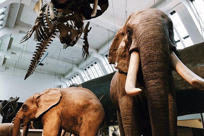 natural-history-museum-london-exclusive-guided-museum-tour