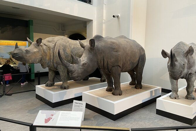 natural-history-museum-self-guided-tour-for-kids-in-english