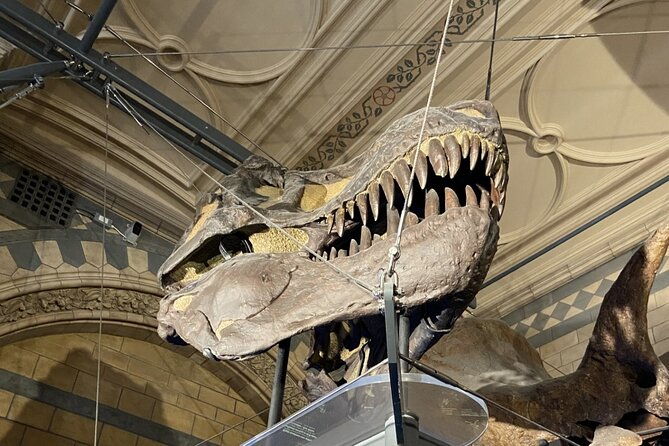 natural-history-museum-self-guided-tour-for-kids-in-english