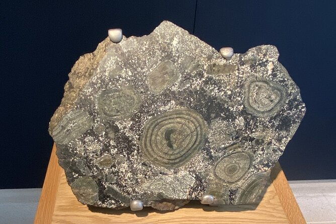 natural-history-museum-self-guided-tour-for-kids-in-english