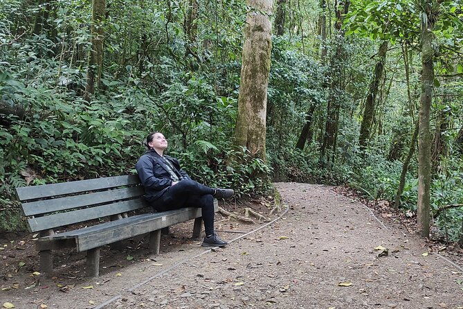 natural-history-walk-in-monteverde-cloudforest-preserve