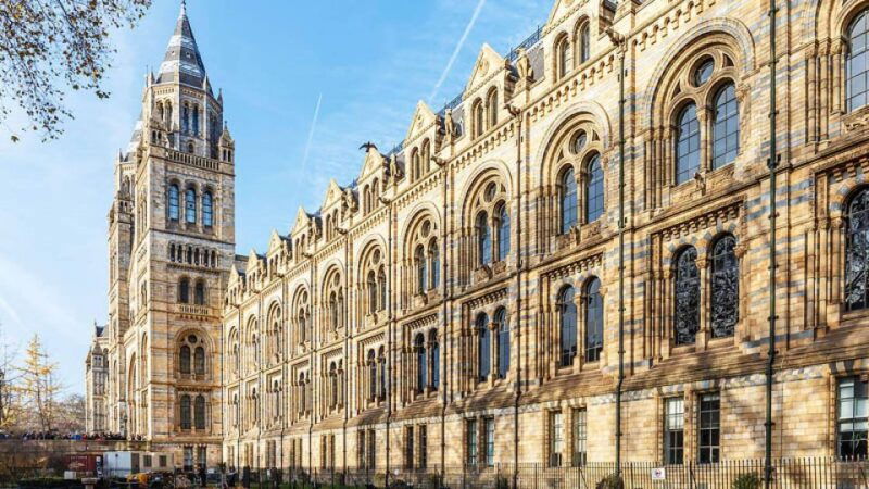 natural-museum-adventure-gems-volcanoes-dinosaurs