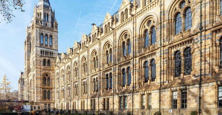 natural-museum-diplodocus-to-blue-whale-wonders