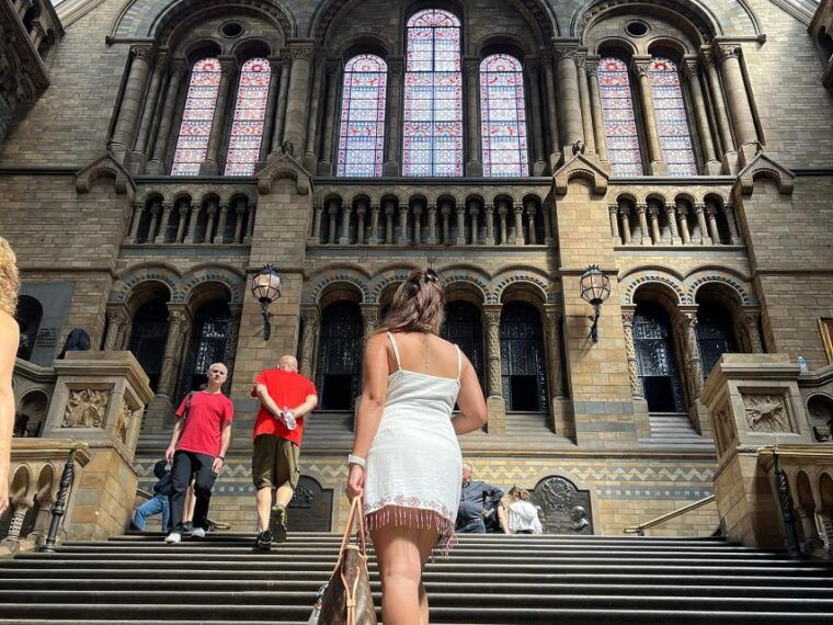 natural-museum-diplodocus-volcanoes-whale-and-gems