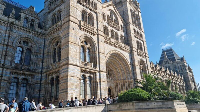 natural-museum-secrets-diplodocus-blue-whale-evolution