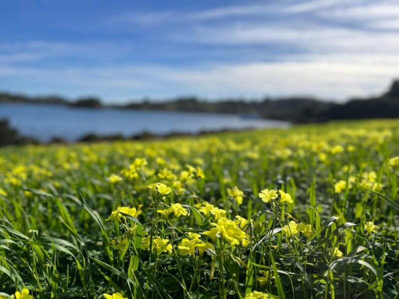 natural-park-of-albufera-des-grau-hiking-bird-watching