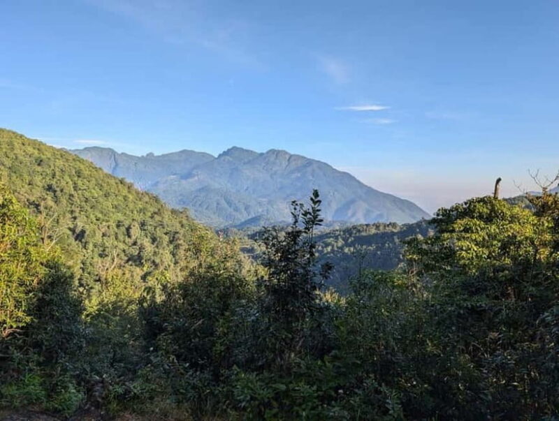 Natural. The 1D Fansipan peak .HmongSisterHouse&Trekking - Natural. The 1D Fansipan Peak with Hmong Sister House & Trekking: An In-Depth Review