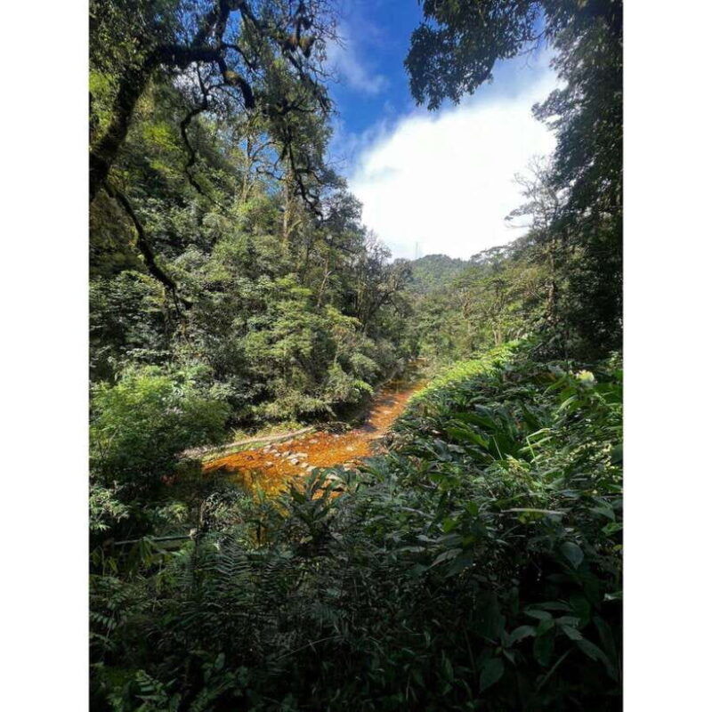 natural-the-1d-fansipan-peak-hmongsisterhousetrekking