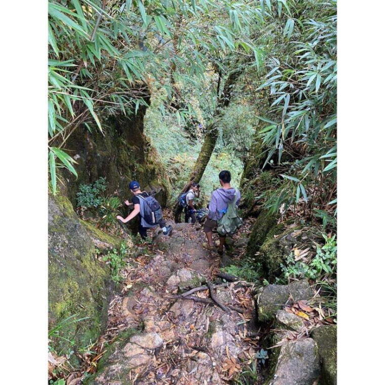 natural-the-1d-fansipan-peak-hmongsisterhousetrekking