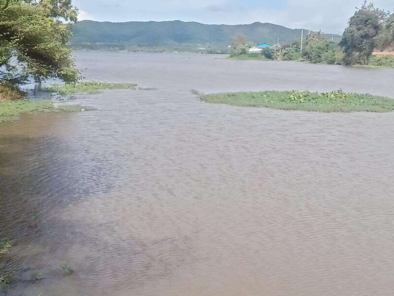 natural-tour-to-pepper-farm-cave-lake-included-lunch