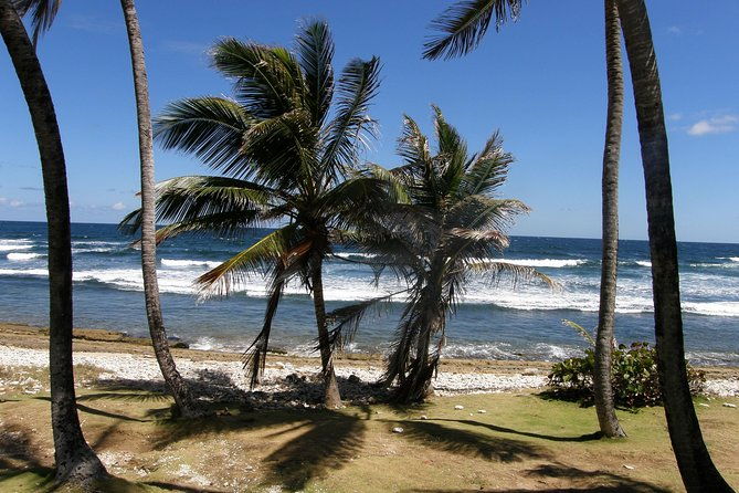natural-wonders-of-barbados-small-group-with-harrisons-cave