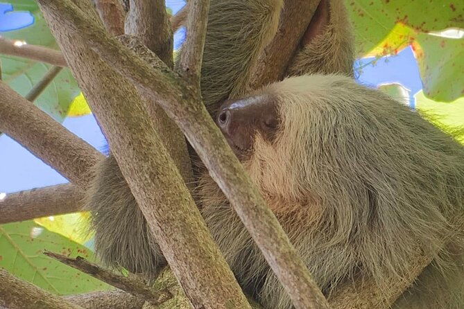 nature-and-bird-watching-at-marino-ballena-national-park