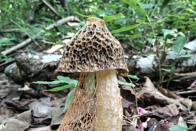 nature-and-culture-experience-at-santa-rosa-national-park