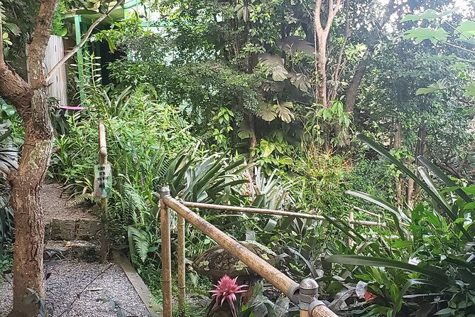 nature-and-sightseeing-tour-at-phantasea-tropical-botanical-garden
