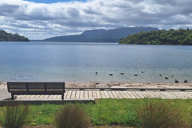 Nature at its best Lake Tarawera Treetop Walk and Forest Spas - Key Points