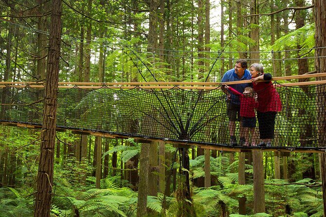 Nature at its best Lake Tarawera Treetop Walk and Forest Spas - Who Will Love This Tour