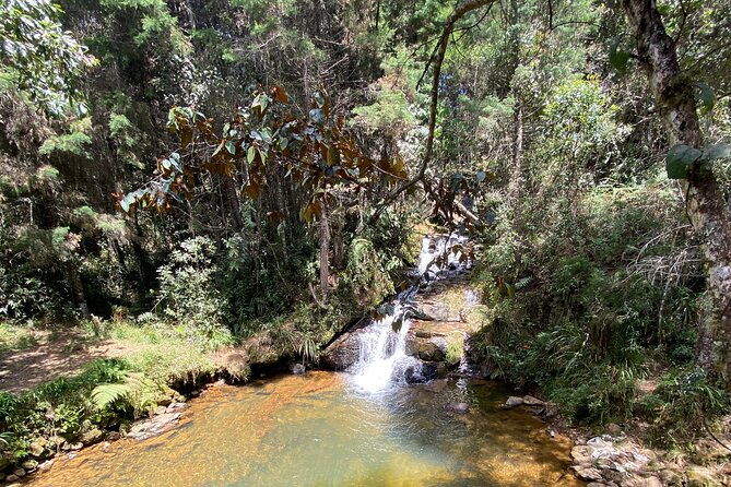 nature-exploration-and-healing-sounds-in-santa-elena