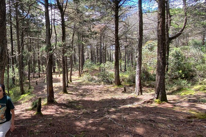 nature-exploration-and-healing-sounds-in-santa-elena