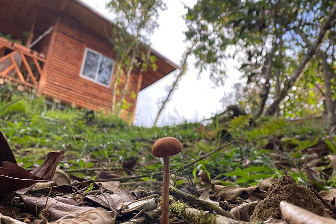 nature-exploration-and-healing-sounds-in-santa-elena