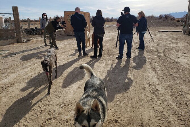 nature-health-farms-petting-zoo-alpaca-farm-pahrump-death-valley