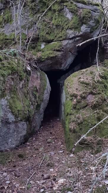 Nature Hike from Stockholm - From Rocky Heights to Open Savannahs