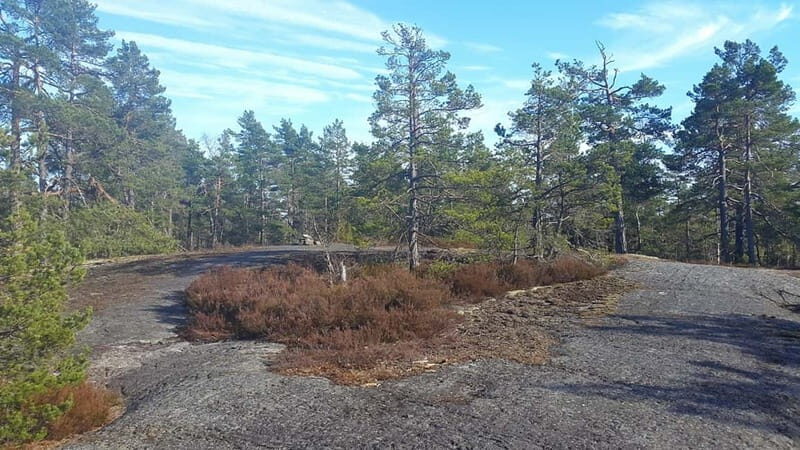 Nature Hike from Stockholm - Experience Review Highlights