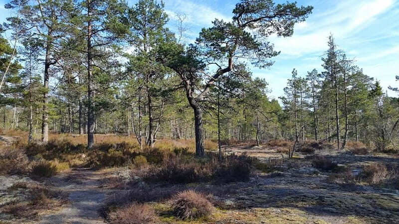 Nature Hike from Stockholm - The Sum Up
