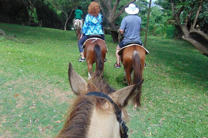 nature-historical-horseback-riding-tours-st-lucia